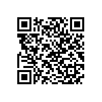 水环式真空泵低压交流电动机烧毁的原因分析及处理