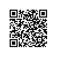 宣城市委书记李中来皖南电机调研