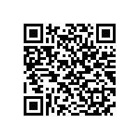 安徽省“调转促”专家组来皖南电机支招
