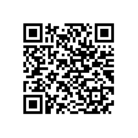 合工大智能院专家来访