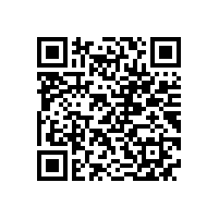 皖南电机样本-YL系列