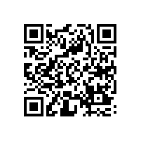 宣城市委书记李中来皖南电机调研