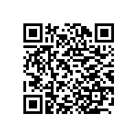 上海办公家具：从上海迪士尼想到的
