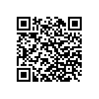 外审专家组来我公司进行管理体系监督审核