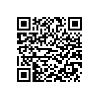 上海百胜软件股份有限公司