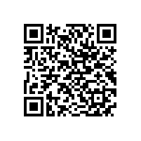 合工大智能院专家来访