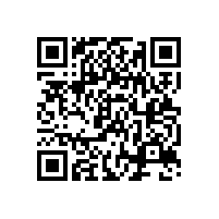 皖南高压电机-YL系列