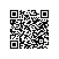 CEO办公经典案例