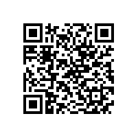 NE系列高效高转矩电机