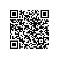 QWN.211-2021 YJZ2系列机床专用三相异步电动机技术条件（机座号80～355）