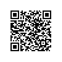 QWN.621-2022 YFBBP 系列粉尘防爆型变频调速三相异步电动机技术条件(机座号80～355)