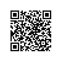 皖南电机各党支部举行换届选举