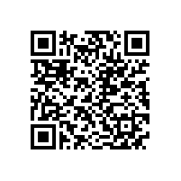 皖南电机举办“庆国庆66周年”文艺晚会