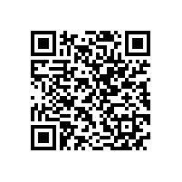 YX3高效电机和YE2高效电机的区别