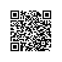 上海百胜软件股份有限公司