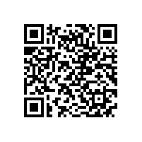 皖南高压电机-YL系列