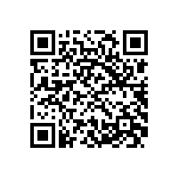 安标国家中心专家组来皖南电机进行监督评审