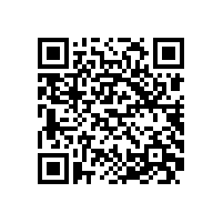 安徽省政府质量奖评审组到皖南电机开展现场评审