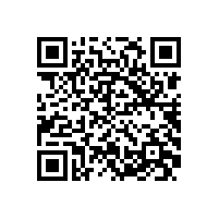 德国电机专家应邀来我公司做技术指导工作