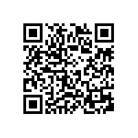 副省长张红文调研皖南电机