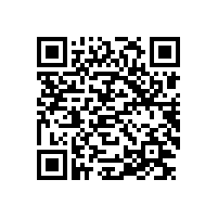 GBT 4772.1-1999 旋转电机尺寸和输出功率等级 第1部分 机座号56~400和凸缘号55~1080