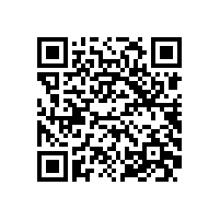 公司举行“皖南电机厂”景石揭幕仪式