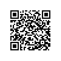 JBT 10105-2017 YZR系列起重及冶金用绕线转子三相异步电动机技术条件(112-400)