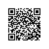 JBT 13299-2017 YE4系列（IP55）三相异步电动机技术条件（机座号80～450）