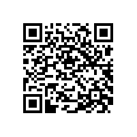 JBT 7594-2018 YR系列高压绕线转子三相异步电动机技术条件（机座号355～630）