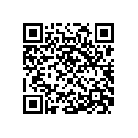 泾县云岭镇19家重点企业的负责人来威能电机学习交流