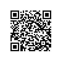 QWN.211-2021 YJZ2系列机床专用三相异步电动机技术条件（机座号80～355）