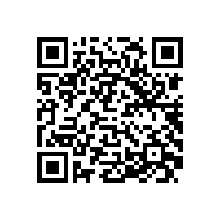 QWN.291-2021 YE4系列(IP55)三相异步电动机技术条件（机座号63～355）2