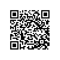 QWN.300-2022 YBX4系列高效率隔爆型三相异步电动机技术条件 (机座号80～355)