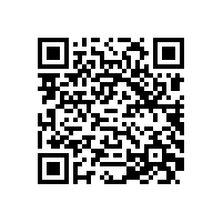 QWN.356-2022 YE4L系列三相异步电动机技术条件（机座号63-160）