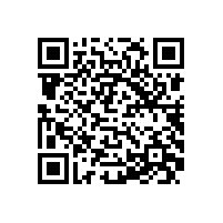 QWN.600-2021 YE3系列(IP55)三相异步电动机技术条件(机座号63～355)