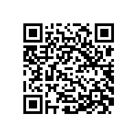 QWN.615.1-2021 TYCP系列三相变频驱动永磁同步电动机技术条件（机座号80-355）