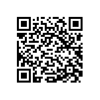 QWN.621-2022 YFBBP 系列粉尘防爆型变频调速三相异步电动机技术条件(机座号80～355)