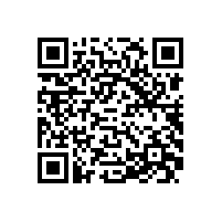 QWN.630-2022 YE5系列（IP55）三相异步电动机 技术条件（机座号63-355）