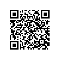 省经信厅领导来皖南电机调研