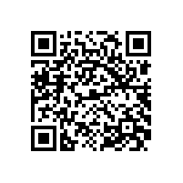 SKF来皖南电机开展轴承知识培训