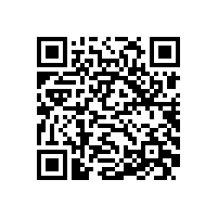 TCMIF 131-2021 绕组式永磁调速器技术条件（机座号 355~1000）