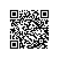 TCMIF 168-2022 无刷双馈高压调速电动机