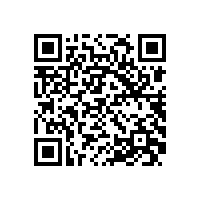 团县委领导班子来公司调研