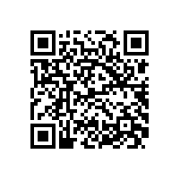 皖南电机样本-YXVF系列