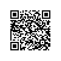 皖南电机导入ISO/TS16949质量体系认证