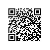 皖南电机党委召开民主生活会