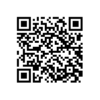 皖南电机举办销售经理新春座谈会