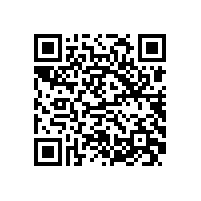 皖南电机科技公司顺利通过质量管理体系认证