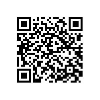 皖南电机开展节前安全大检查