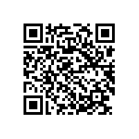 皖南电机开展年度第二次一体化管理体系内审